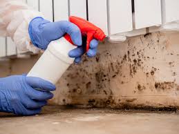 Best Indoor Air Quality Assessment  in Colfax, WI